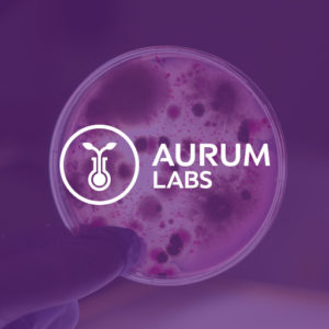 Aurum Labs Website & Marketing